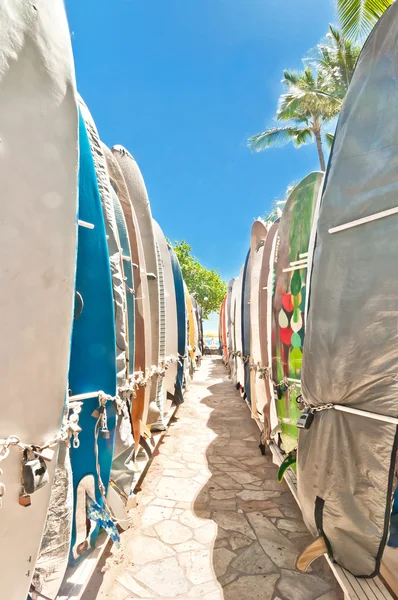 Surfplanken opgesteld in het rack in het wereldberoemde waikiki beach — Stockfoto