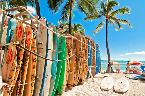 Surfbrädor uppradade i rack på berömda waikiki beach Royaltyfria Stockbilder