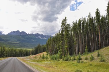 icefields parkway Kanada rocky dağları arasında