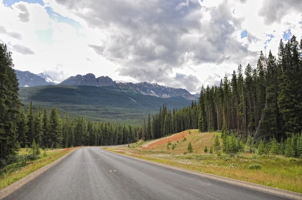 Icefields Parkway entre las Montañas Rocosas Canadienses —  Fotos de Stock