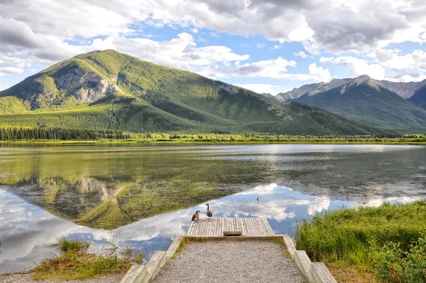 Anatre selvatiche e Vermillion Lake riflessione — Foto Stock