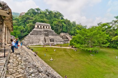 turistler palenque Harabeleri Chiapas, Meksika ziyaret edin.