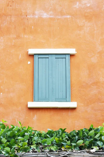 Old wooden window — Stock Photo, Image