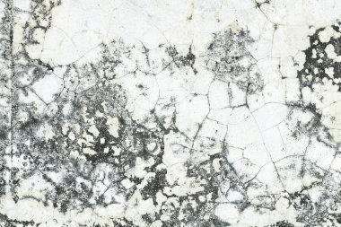 eski çimento duvar dokusu