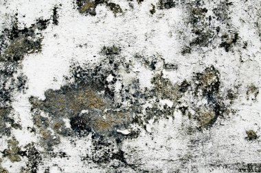 Grunge duvar eski çimento