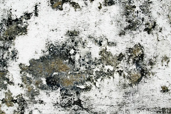 Grunge duvar eski çimento — Stok fotoğraf
