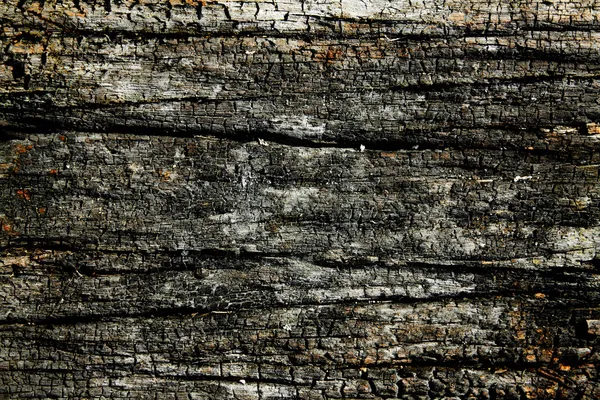 Yanmış ahşap dokusu