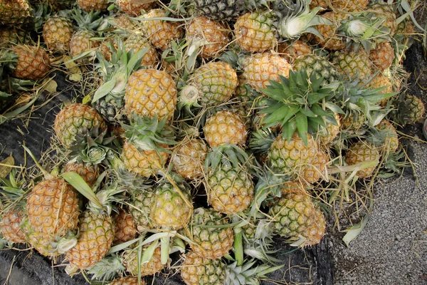 ananas yığını