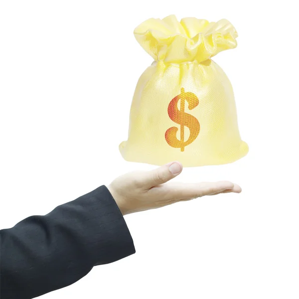 Hand with money bag — Stock Photo, Image