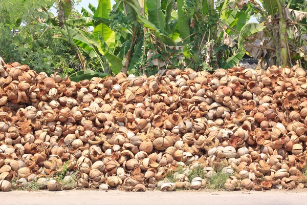 Pile de coque de noix de coco jetée — Photo