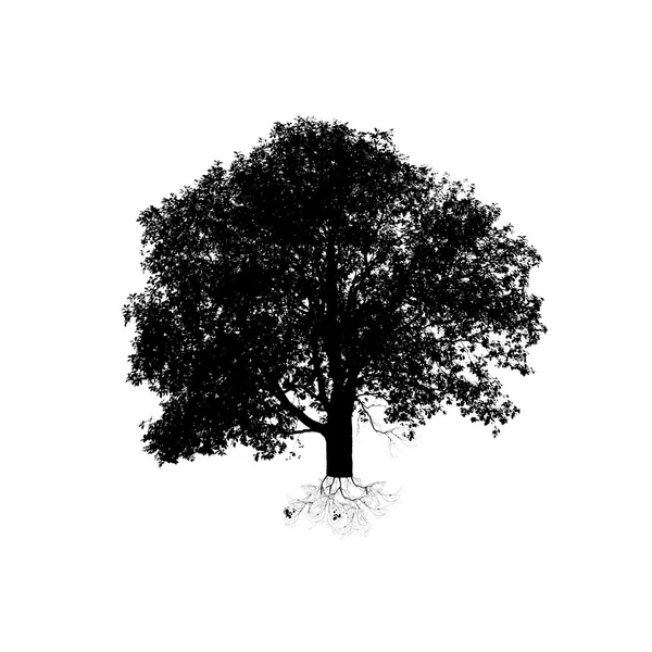 Силует дерева — стокове фото