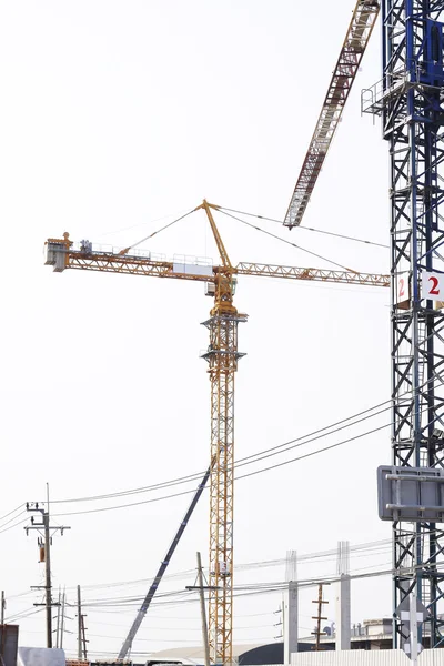 Grue à tour — Photo