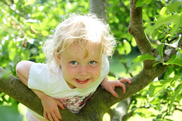 Climbing — Stock Photo, Image