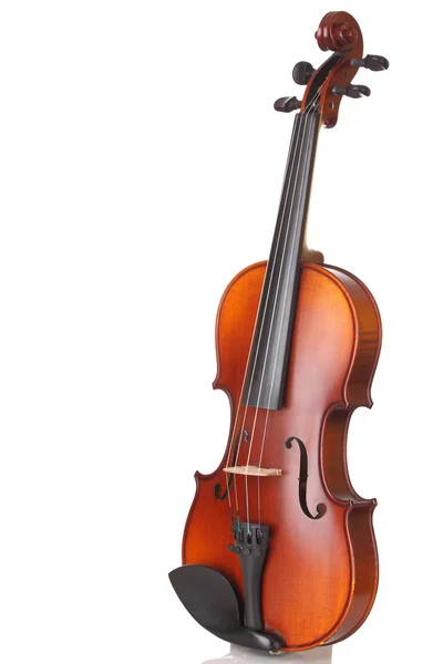 Violino — Fotografia de Stock