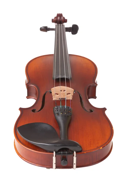 Violin — Stock Photo, Image