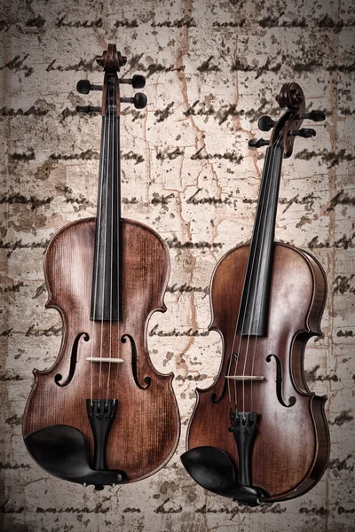 Two violins — Stock Photo, Image