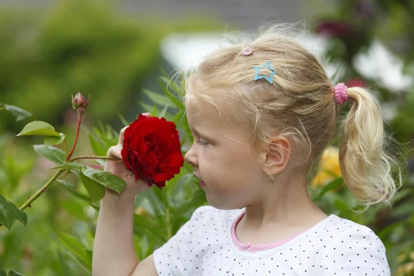 Ragazza con rose — Foto Stock