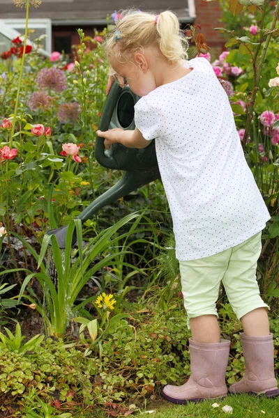 Giardinaggio — Foto Stock