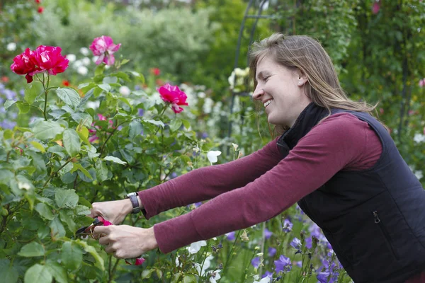 Tuinieren vrouw — Stockfoto