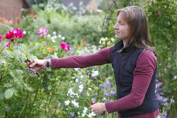 Tuinieren vrouw — Stockfoto