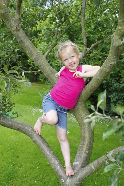 Giardino divertente — Foto Stock