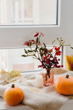 Pencere kenarında sonbahar havası kompozisyonu. Balkabağı, mum, çiçek buketi, sıcak ekose. Sonbahar, sonbahar, ev dekorasyonu. Dikey fotoğraf. Seçici odak.