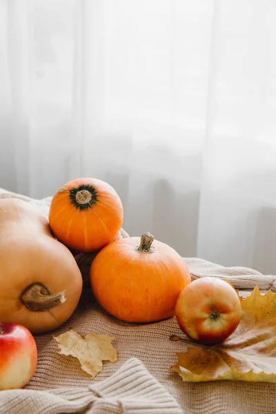 Podzimní Sezónní Sklizeň Ovoce Zelenina Pozadí Dýně Červená Jablka Ořechy — Stock fotografie