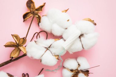 Doğal pamuk adet tamponu, pamuk gibi yumuşak ve narin, pembe arka planda. Kadın hijyen ürünleri..