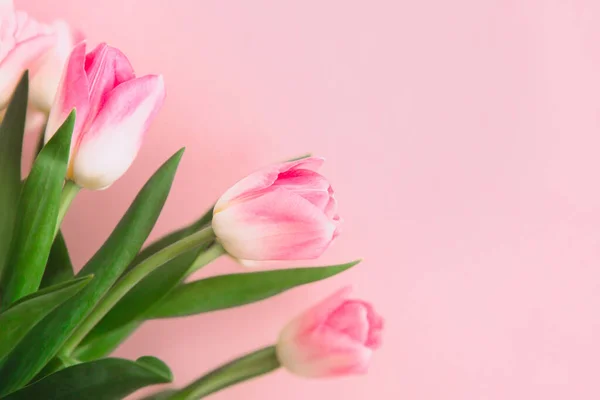 Hermoso Ramo Tulipanes Rosados Foco Suave Tarjeta Felicitación Para Día — Foto de Stock