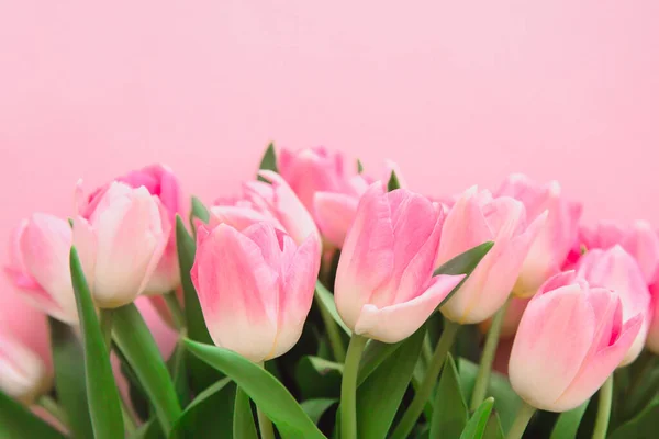 Belo Buquê Tulipas Rosa Foco Suave Cartão Felicitações Para Dia Imagem De Stock