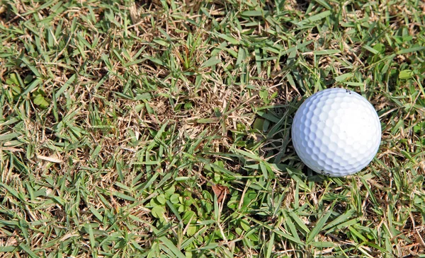 Golf ball on green light rough — Stock Photo, Image
