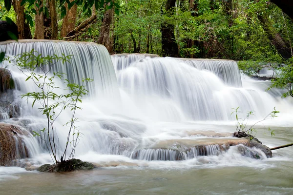 Tropial Waterfall — Stock Photo, Image