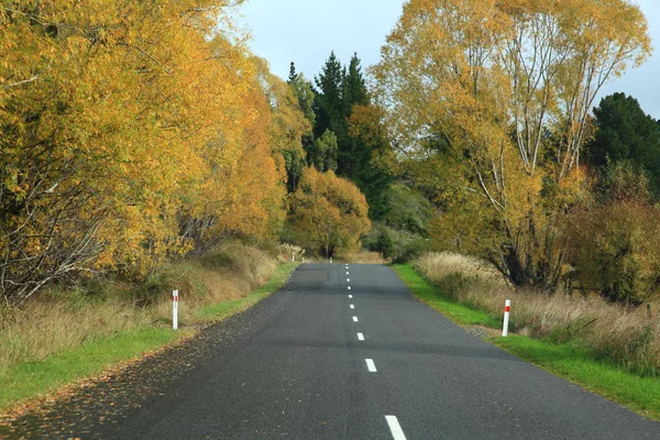 Langer Weg — Stockfoto