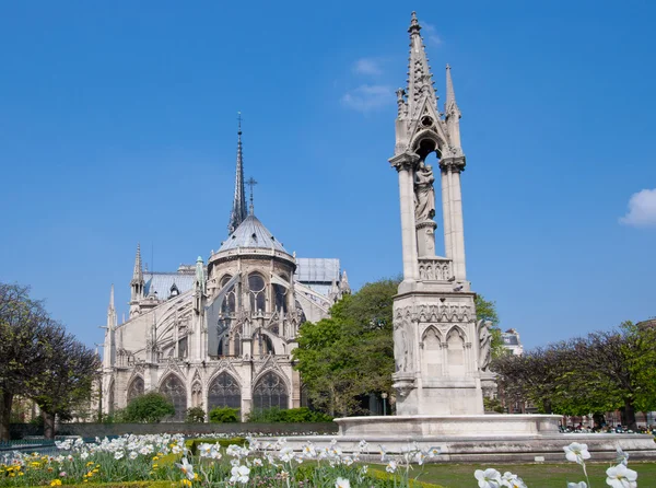 Katedralen notre dame — Stockfoto