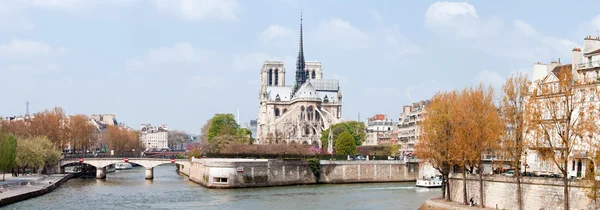 Catedral de Paris Notre Dame Panorama — Fotografia de Stock