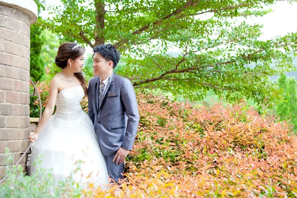 Boda de parejas — Foto de Stock