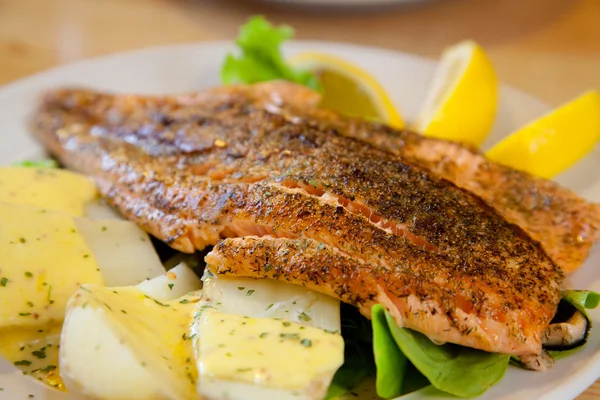 Grilled Salmon Steak — Stock Photo, Image