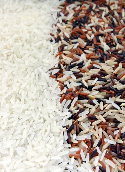 Rice Background — Stock Photo, Image