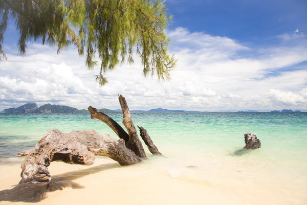 Praia de areia branca tropical — Fotografia de Stock