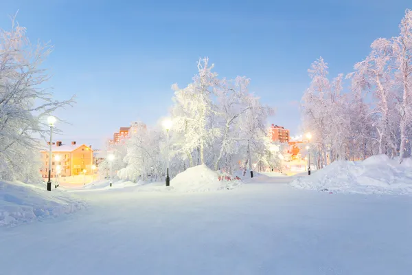 冬の風景都市庭 — ストック写真