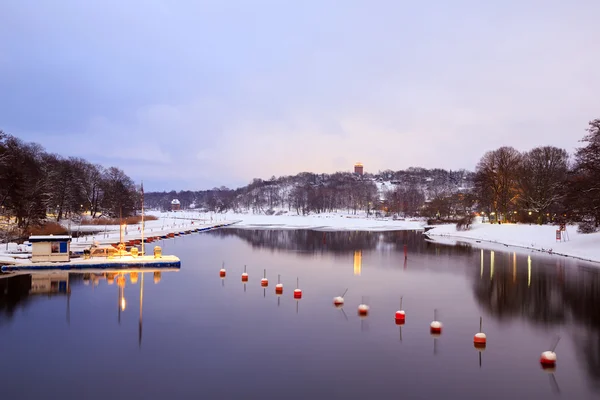 Kış gölü manzarası — Stok fotoğraf