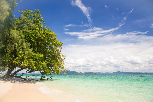 Spiaggia tropicale di sabbia bianca — Foto Stock