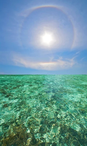 완벽 한 하늘 Phiphi 섬에 산호 풍경 — 스톡 사진