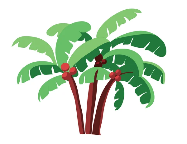 Kokosová palma — Stockový vektor