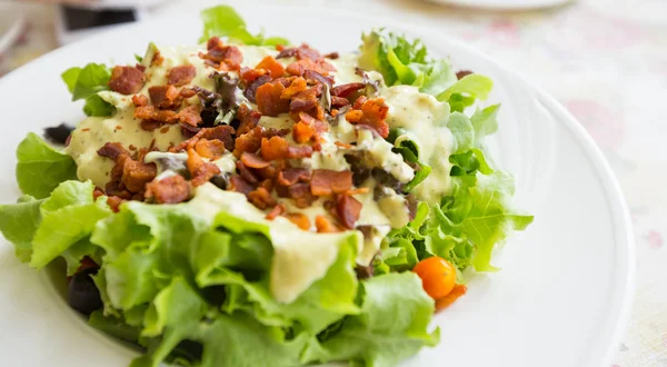 Ceasar Salad — Stock Photo, Image