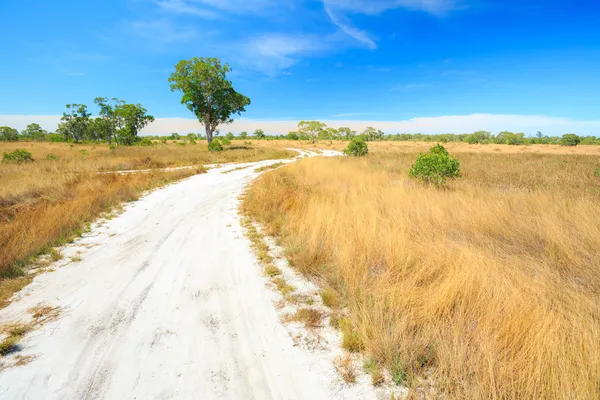 Paisagem savana — Fotografia de Stock