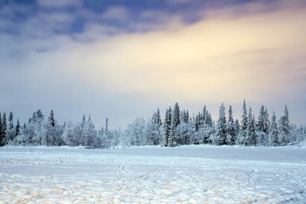 Krajobraz zimowy w nocy — Zdjęcie stockowe