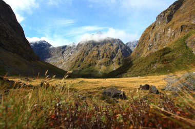 New Zealand Fiordland at the Milford Sound clipart