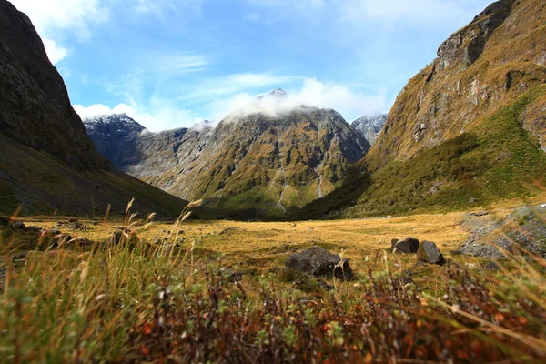 뉴질랜드 밀 포드 사운드는 피오르드 랜드 — 스톡 사진
