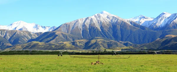 Alpes alpinos en Nueva Zelanda — Foto de Stock